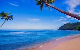 Survivor Samoa Beach Resort
